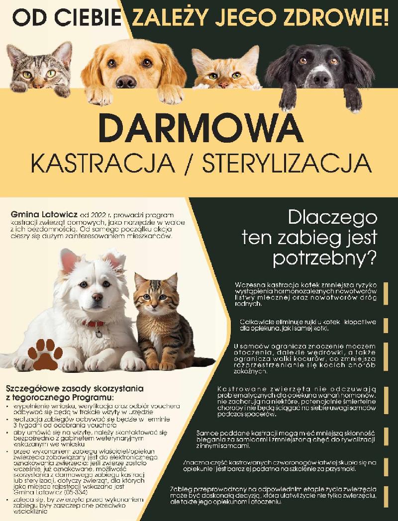 kastracja i sterylizacja informacje
