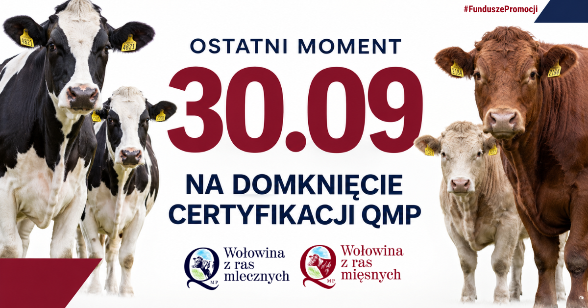 certyfikat-QMP