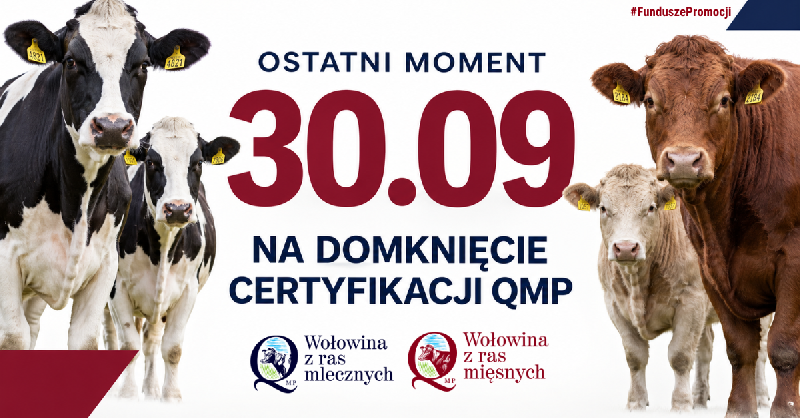 certyfikat-QMP